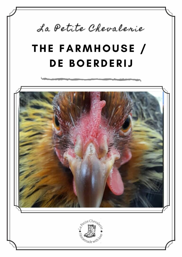 The Farmhouse / De Boerderij
